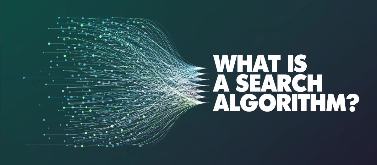 What is a Search Algorithm?